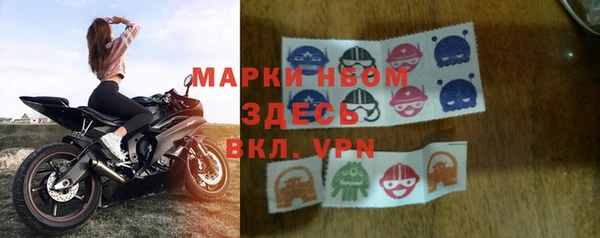 мет Алексин