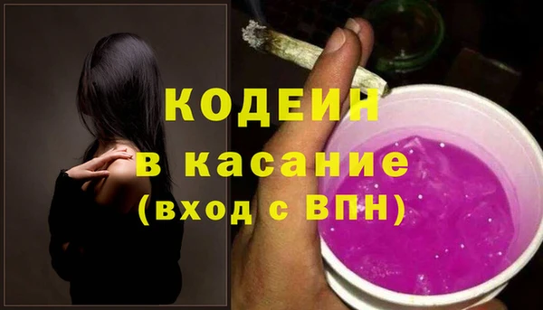 PSILOCYBIN Алзамай