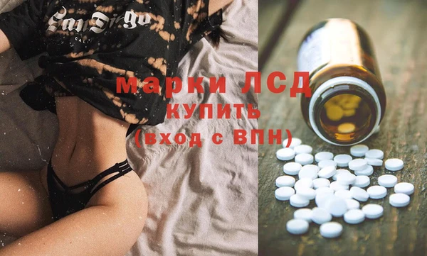 PSILOCYBIN Алзамай