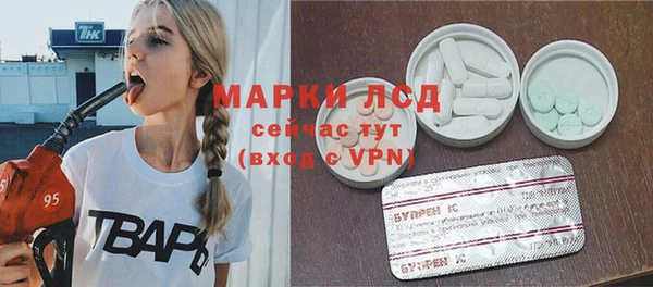 PSILOCYBIN Алзамай