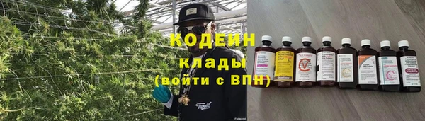 прущие грибы Алексеевка
